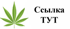 Купить наркотики в Владивостоке